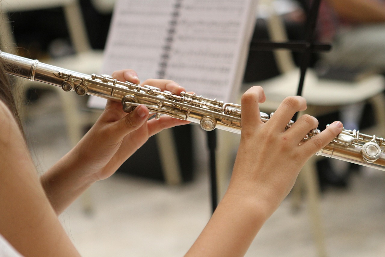 Musician performing at an Australian wedding reception